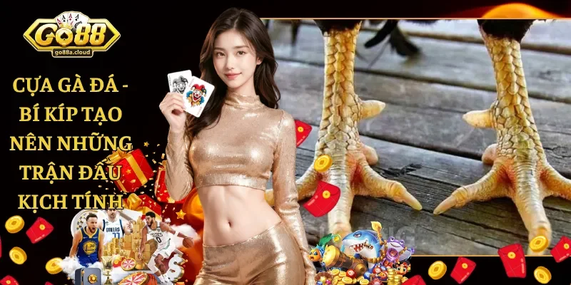 Cựa Gà Đá - Bí Kíp Tạo Nên Những Trận Đấu Kịch Tính