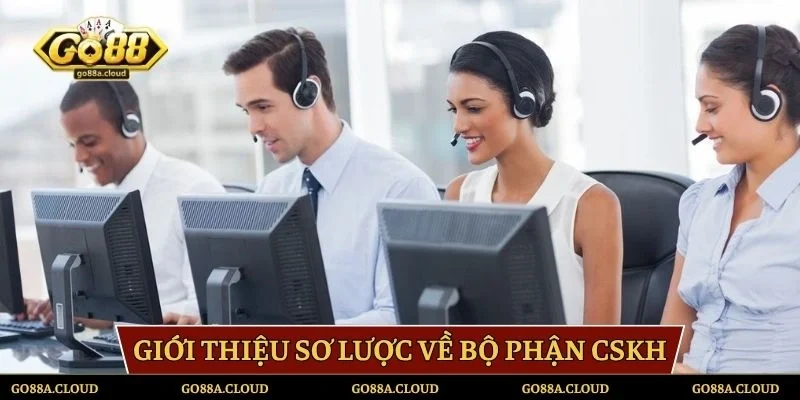 Giới thiệu sơ lược về bộ phận CSKH