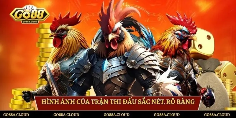 Hình ảnh của trận thi đấu sắc nét, rõ ràng