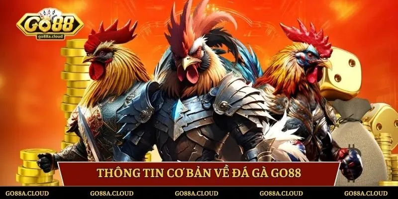 Thông tin cơ bản về đá gà Go88