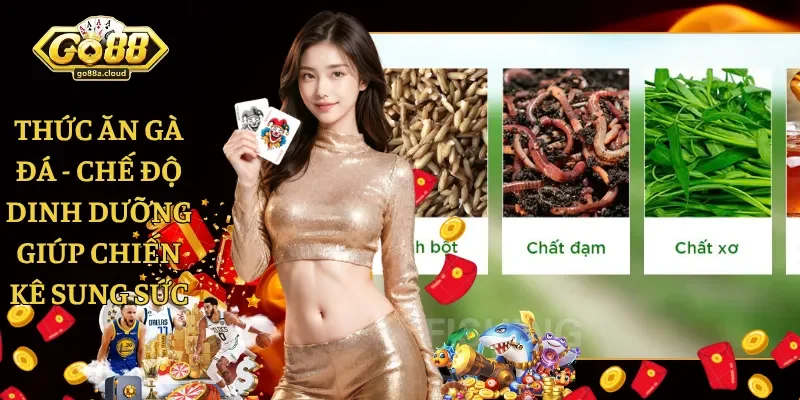 Thức Ăn Gà Đá - Chế Độ Dinh Dưỡng Giúp Chiến Kê Sung Sức